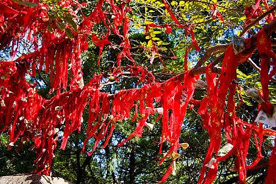 《勇者斗恶龙：寻宝探险团》《逃出生天》已移除D加密