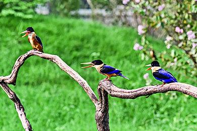 《忍者龙剑传4》确认亮相科隆展开幕夜 全新独家演示！