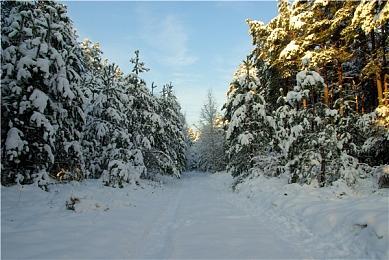 《热浪赛车》7月16日登陆PC和NS 模拟街机风